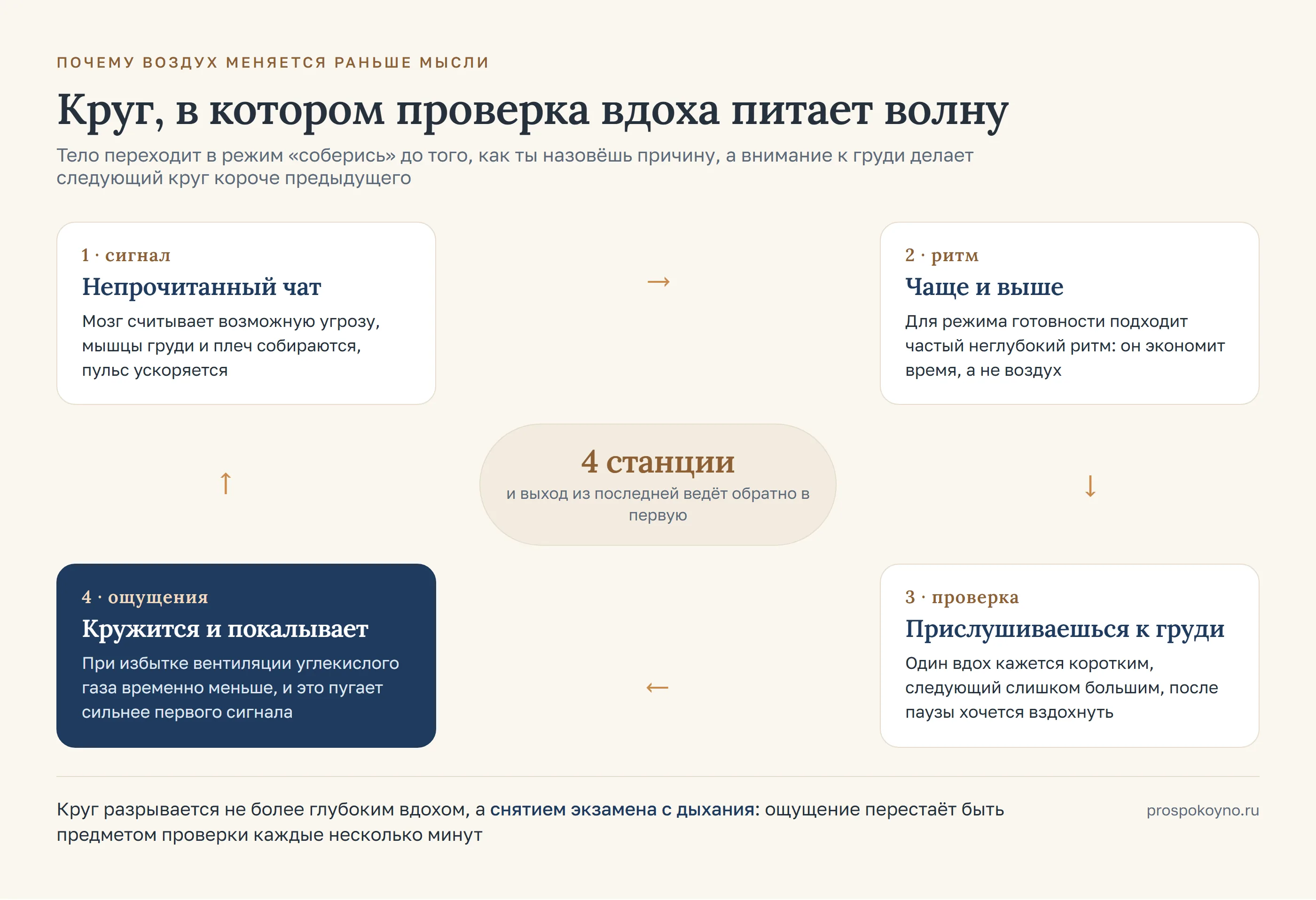 Круг из четырёх станций: сигнал, частый верхний ритм, проверка вдоха и головокружение, а выход ведёт обратно в начало