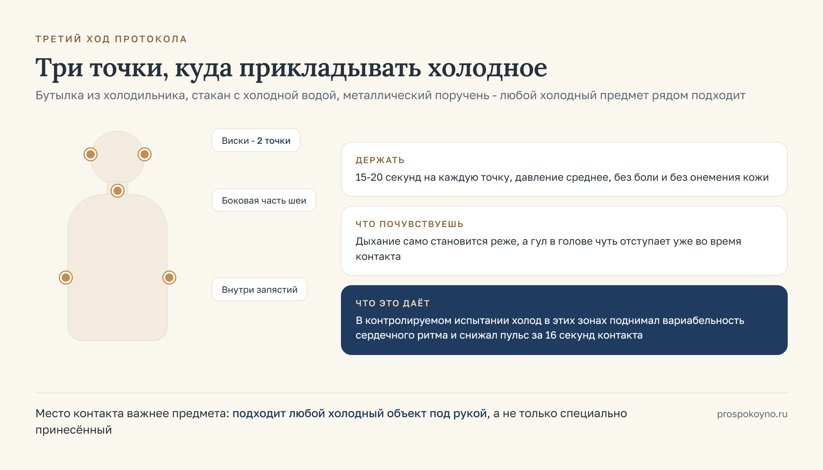 Карта тела с тремя точками холодного контакта: виски, боковая часть шеи и внутренняя сторона запястий
