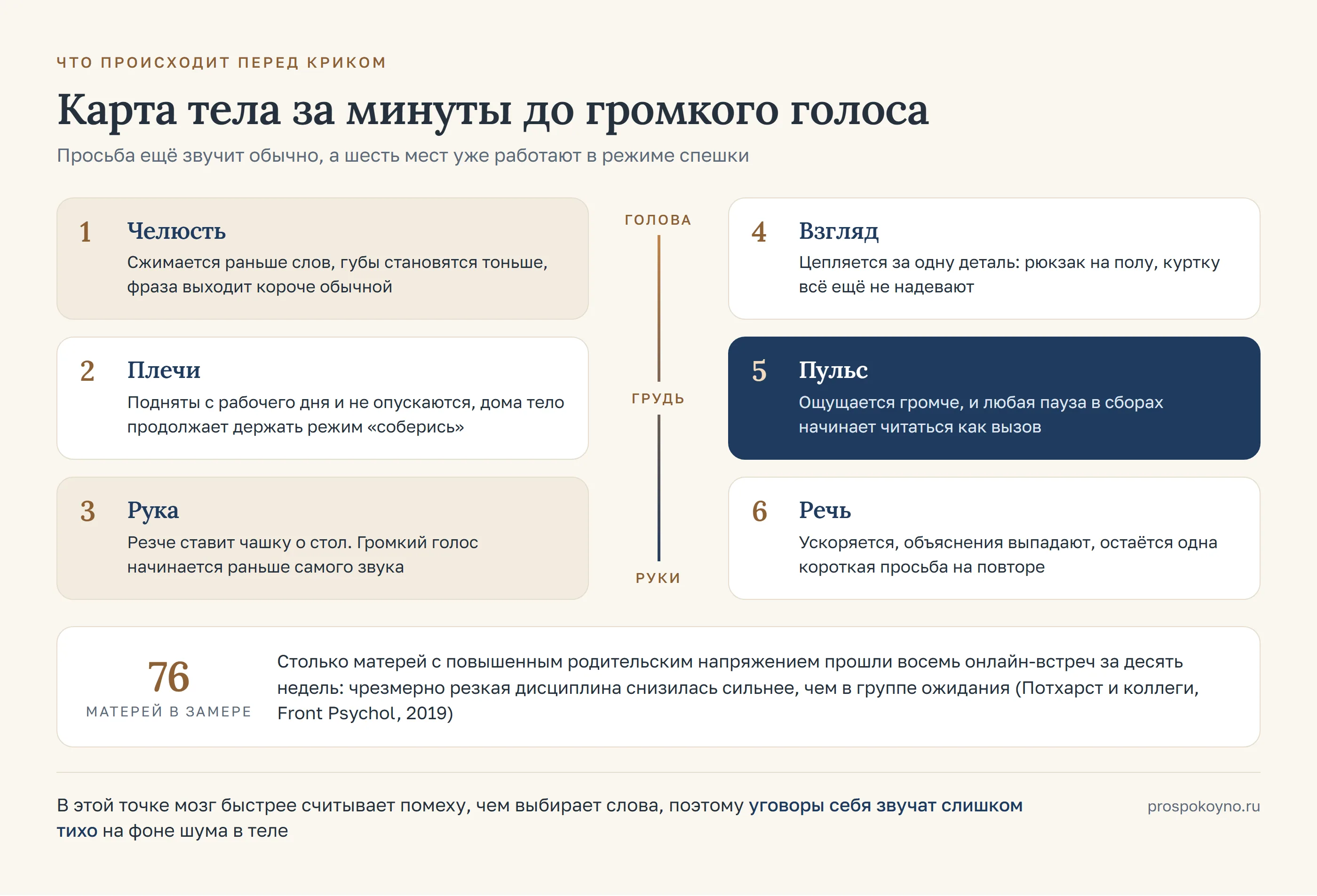 Карта шести зон тела перед криком: челюсть, плечи, рука, взгляд, пульс и речь вокруг оси голова-грудь-руки