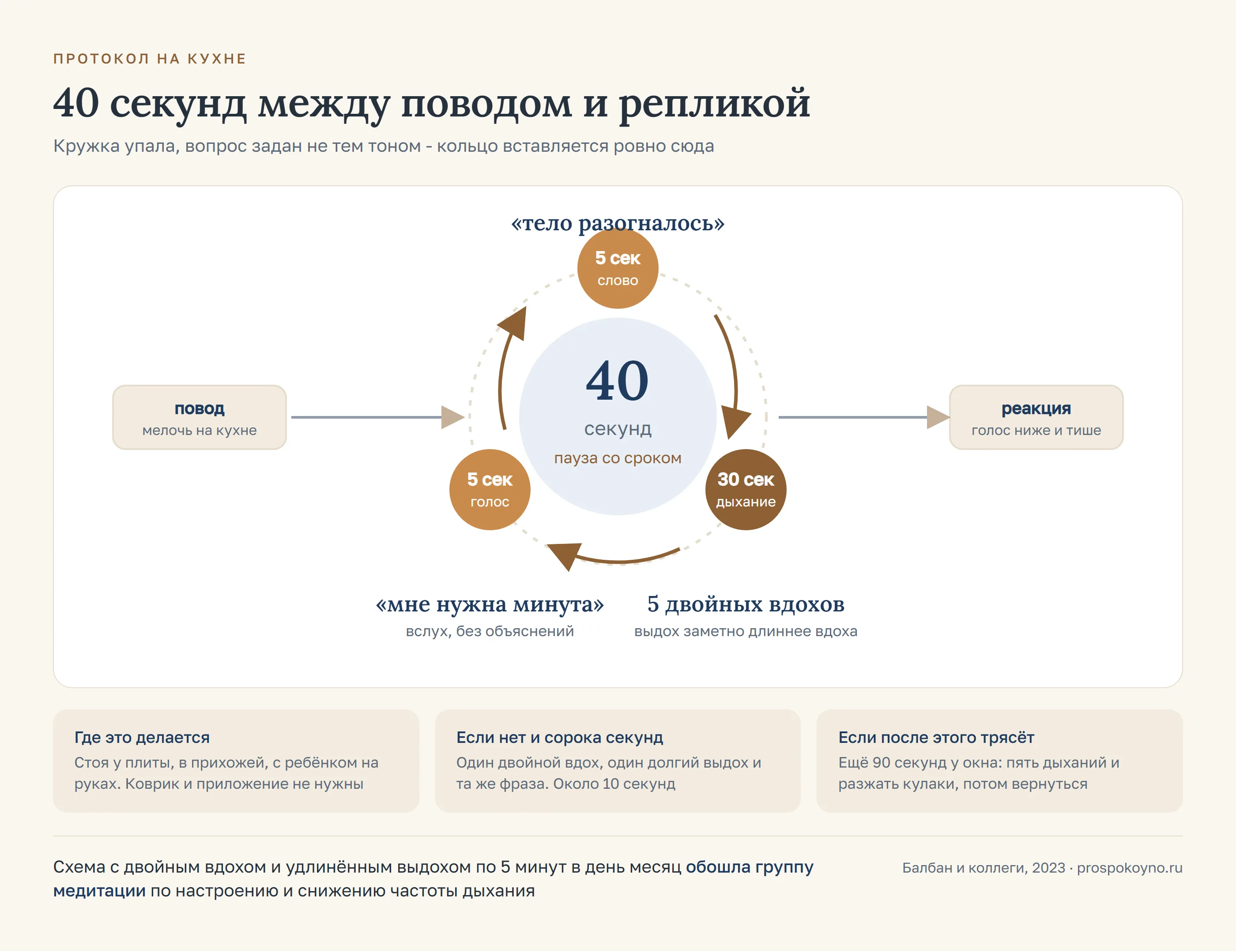 Круг из трёх шагов протокола на 40 секунд, вставленный между поводом на кухне и резкой репликой