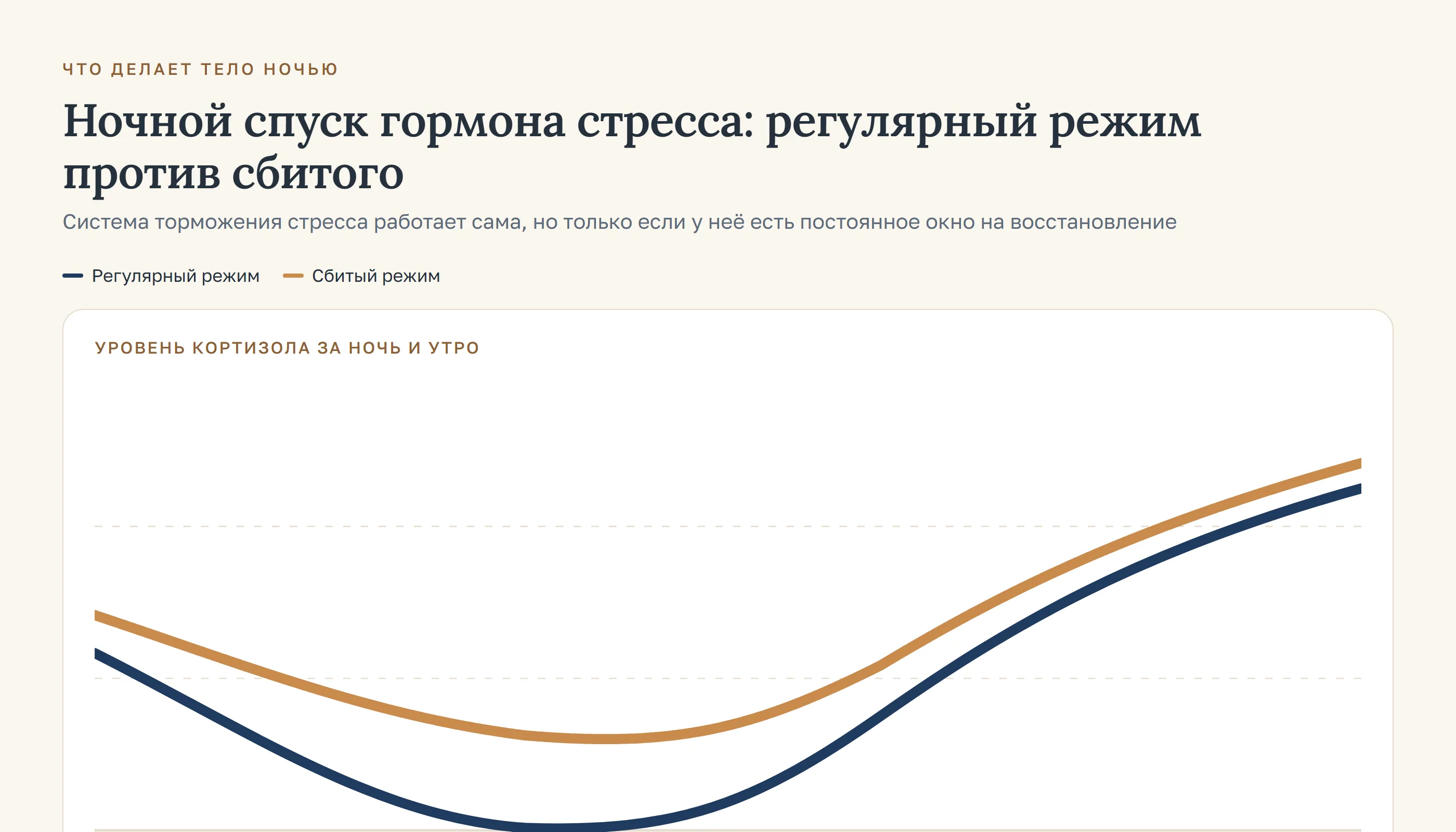 Кривая ночного кортизола: у ровного режима провал глубже, у сбитого - короче, и утро начинается с повышенного фона