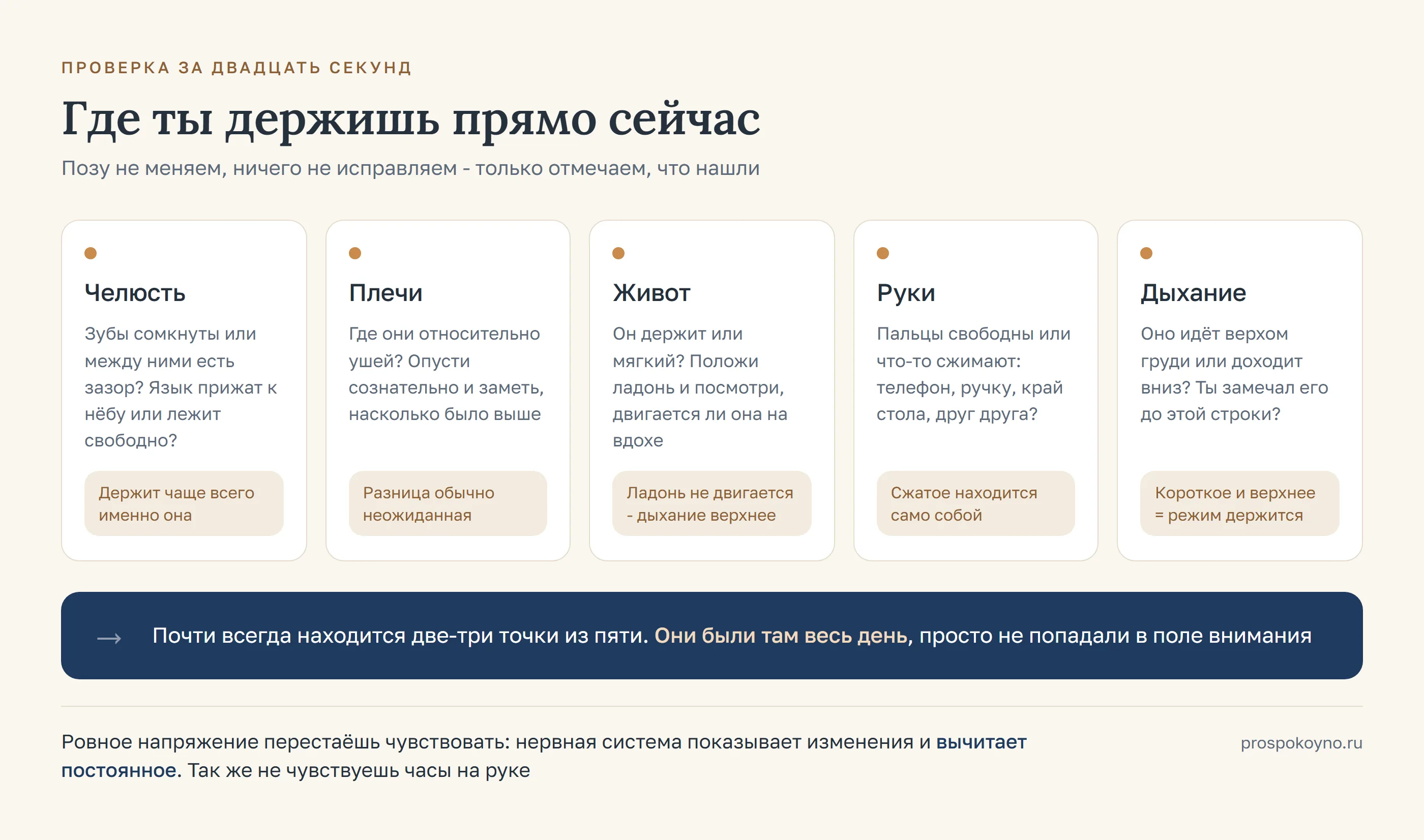 Пять точек проверки тела: челюсть, плечи, живот, руки и дыхание, с вопросом к каждой