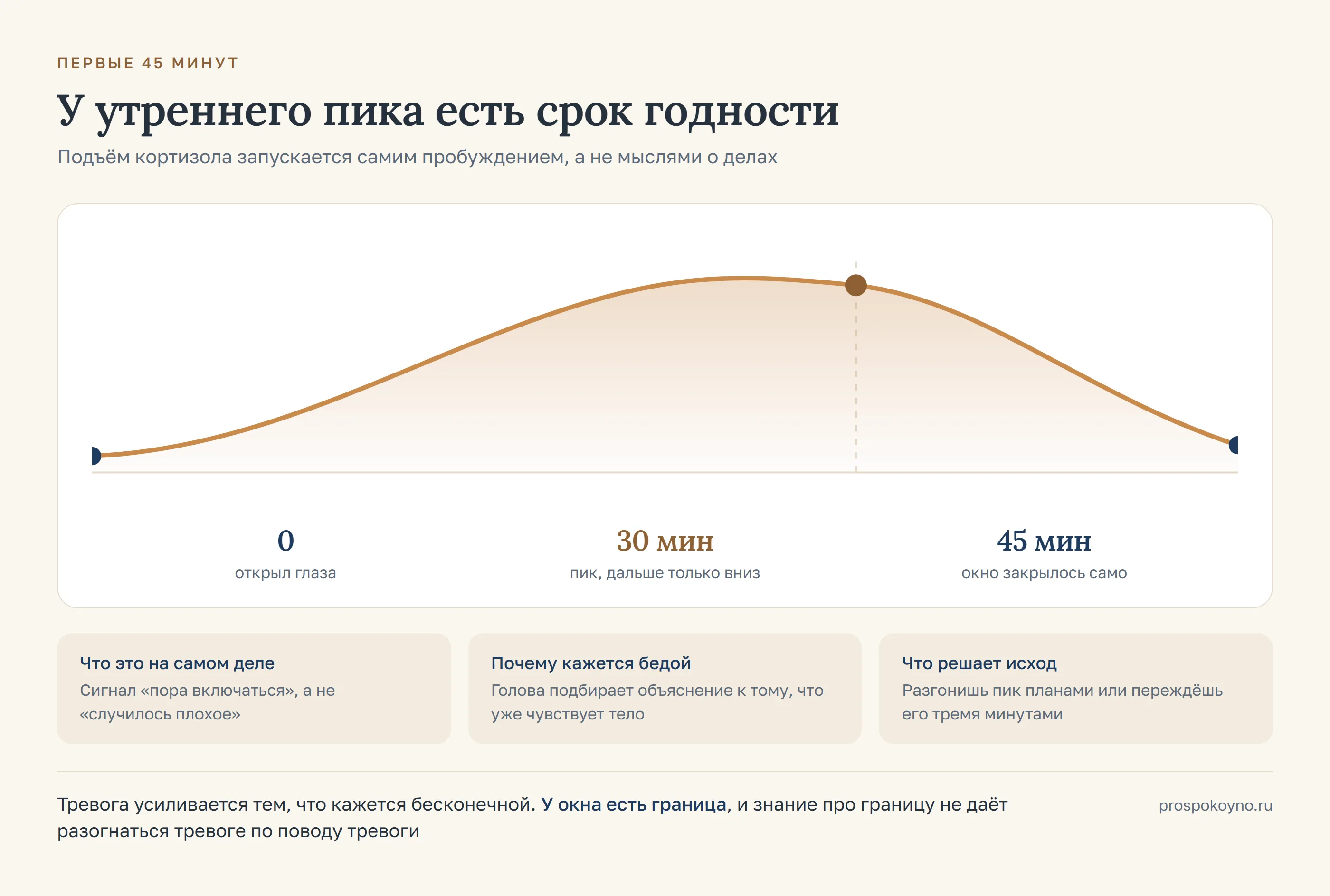 Шкала утреннего окна от подъёма до 45 минут с пиком кортизола на тридцатой минуте