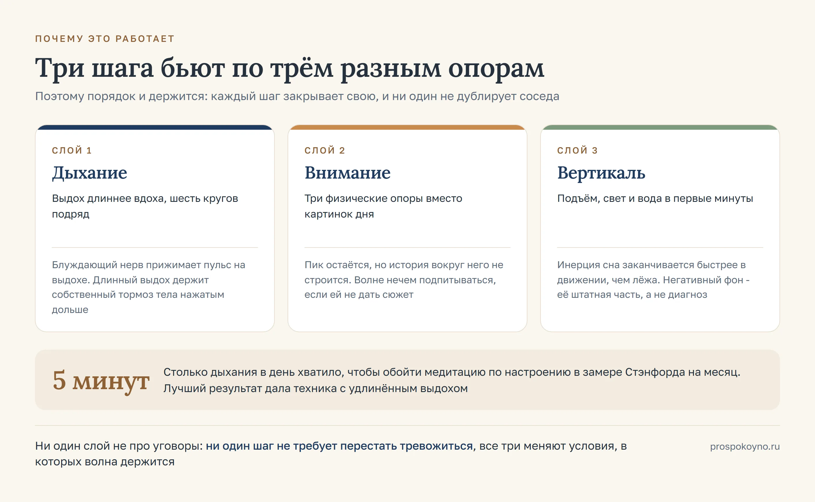 Три слоя утренних шагов: дыхание, внимание и вертикаль, и что делает каждый из них