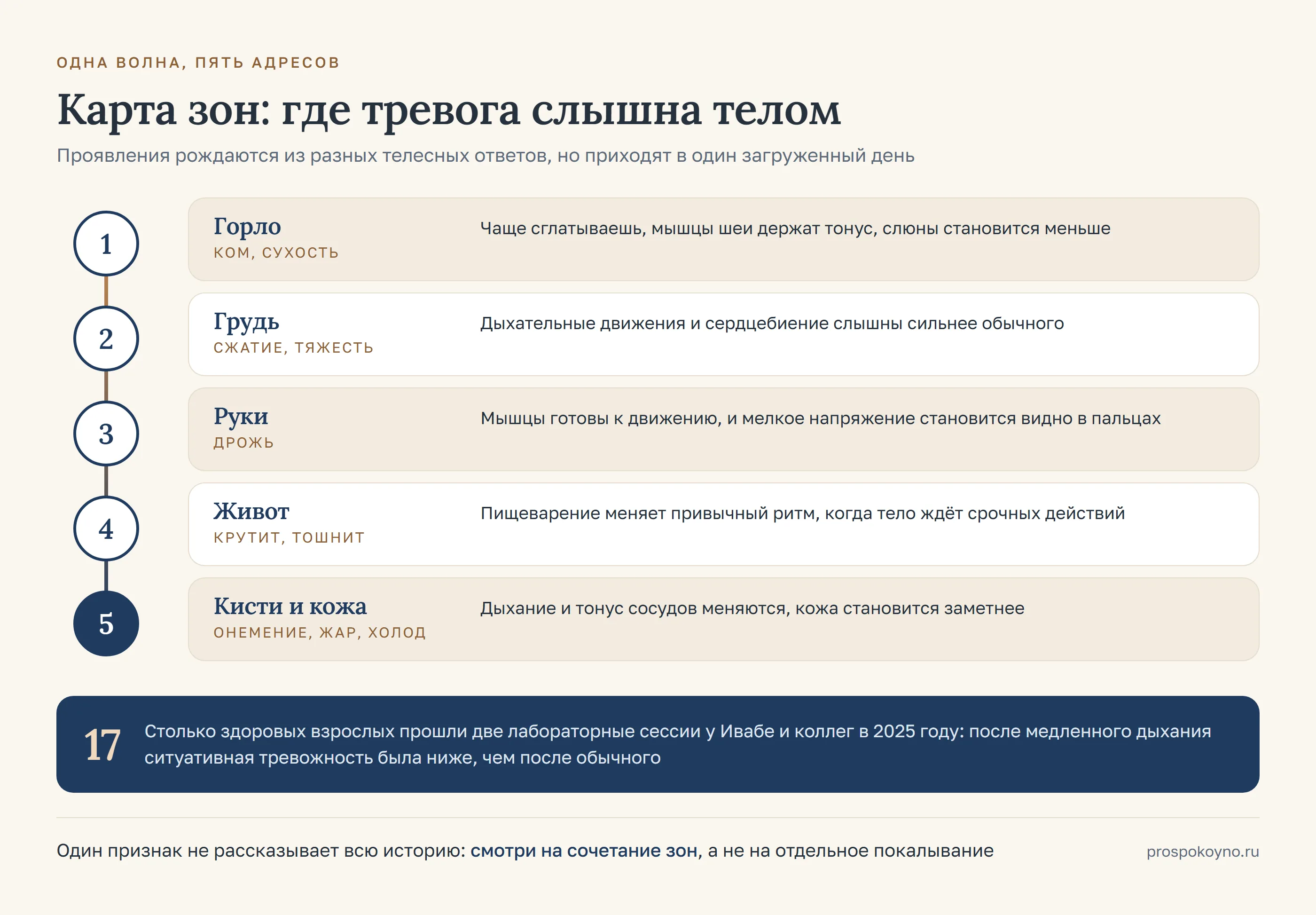 Карта зон тела сверху вниз: горло, грудь, руки, живот и кисти, у каждой зоны подпись, что тело делает в этот момент